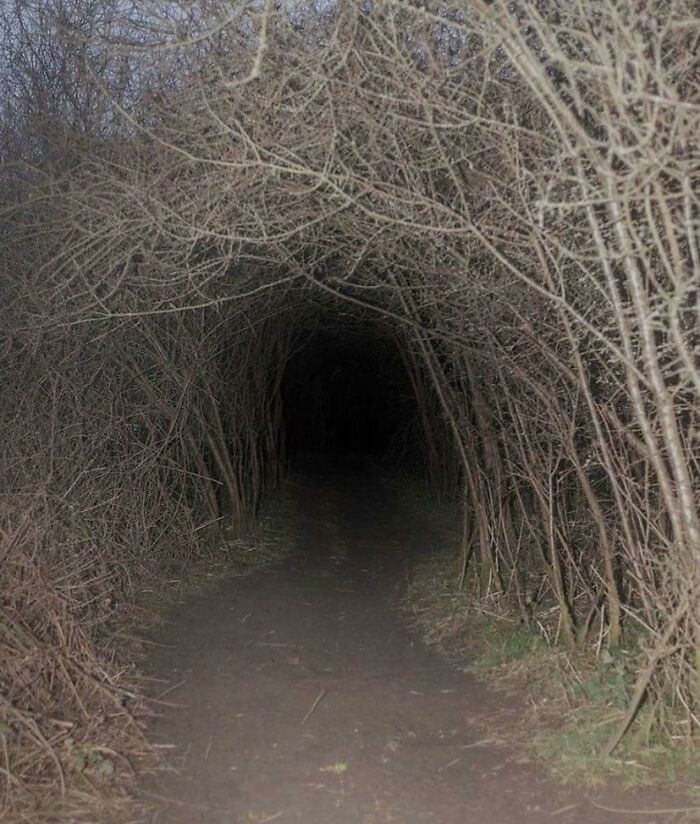 80 Unnerving Yet Intriguing Liminal Spaces That Feel Unreal 80 Unnerving Yet Intriguing Liminal Spaces That Feel Unreal