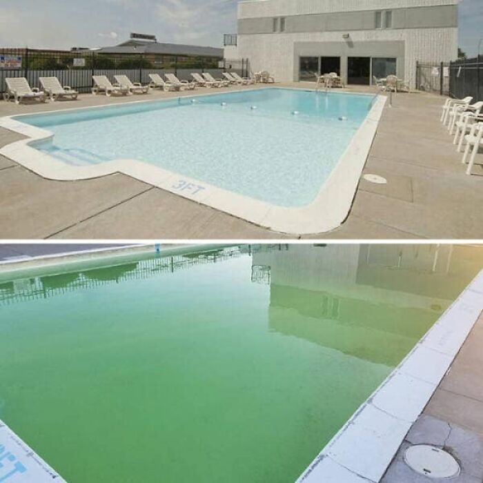 You May Never Trust An Airbnb Listing After Seeing These 49 Photos You May Never Trust An Airbnb Listing After Seeing These 49 Photos