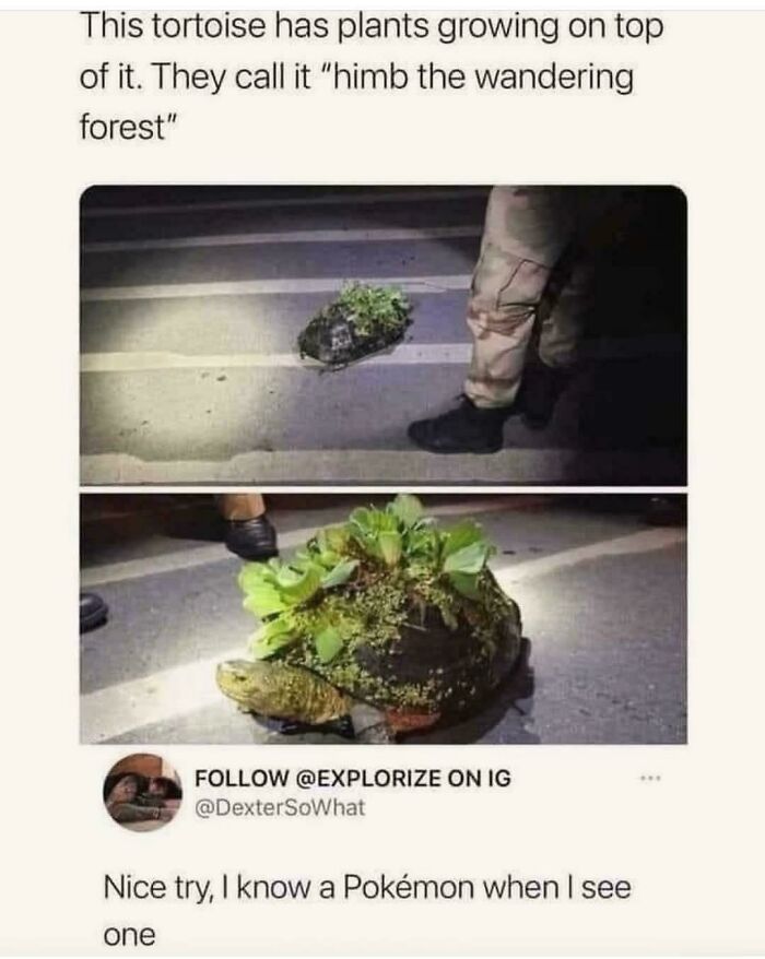72 “Blursed” Comments To Make You Chuckle, Then Wonder What’s Wrong With You 72 “Blursed” Comments To Make You Chuckle, Then Wonder What’s Wrong With You