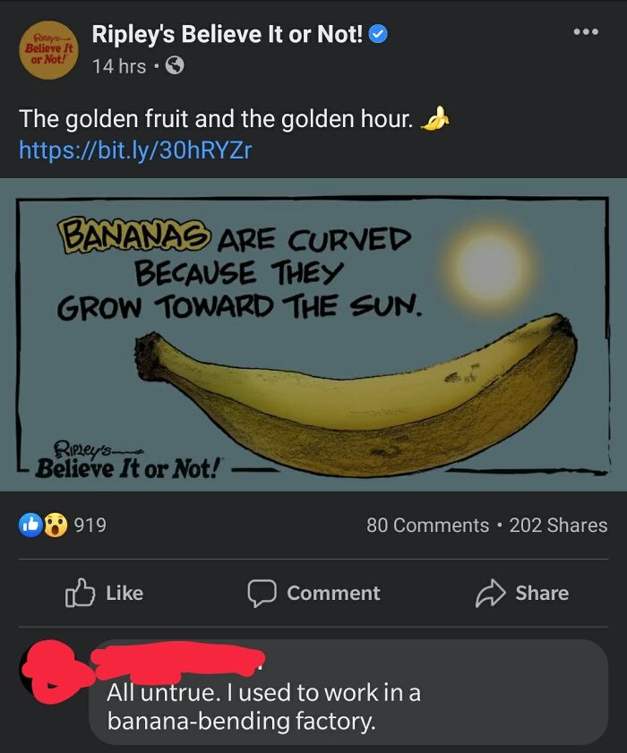 72 “Blursed” Comments To Make You Chuckle, Then Wonder What’s Wrong With You 72 “Blursed” Comments To Make You Chuckle, Then Wonder What’s Wrong With You