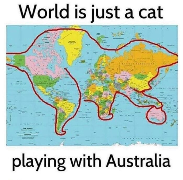 This Page Shared 30 Hilarious Cat Memes For Everyone Who’s Slightly Obsessed With Cats This Page Shared 30 Hilarious Cat Memes For Everyone Who’s Slightly Obsessed With Cats