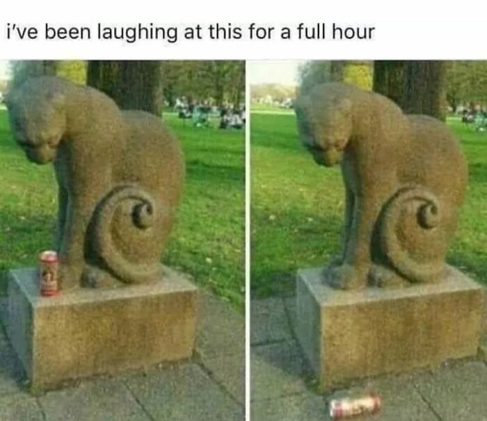 This Page Shared 30 Hilarious Cat Memes For Everyone Who’s Slightly Obsessed With Cats This Page Shared 30 Hilarious Cat Memes For Everyone Who’s Slightly Obsessed With Cats