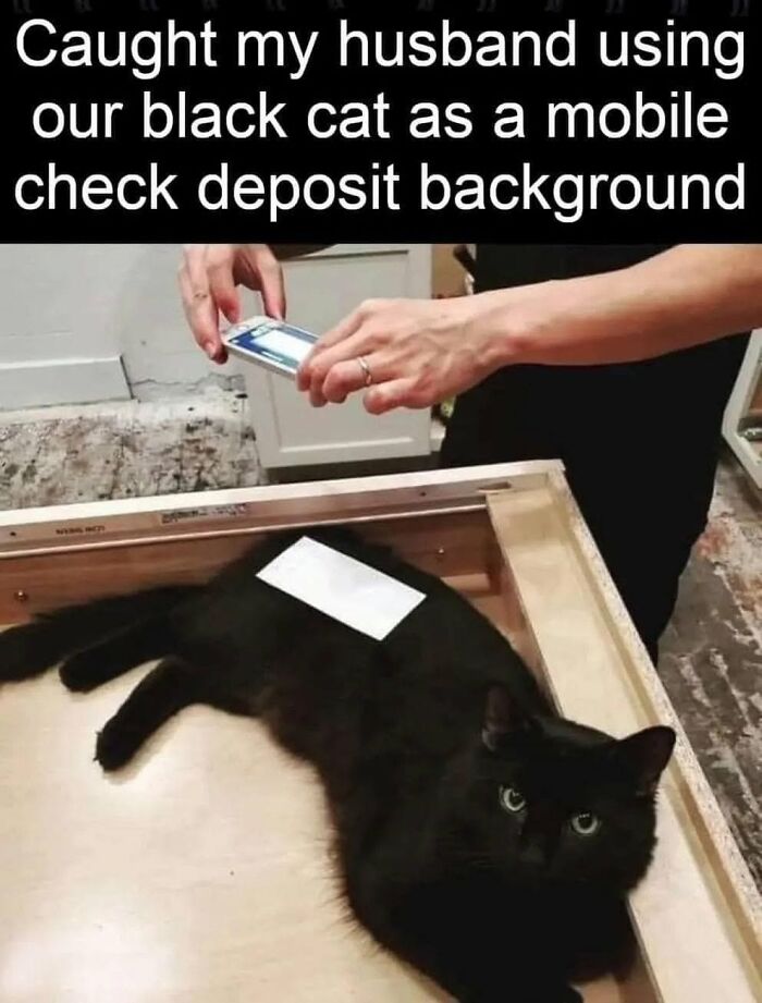 This Page Shared 30 Hilarious Cat Memes For Everyone Who’s Slightly Obsessed With Cats This Page Shared 30 Hilarious Cat Memes For Everyone Who’s Slightly Obsessed With Cats