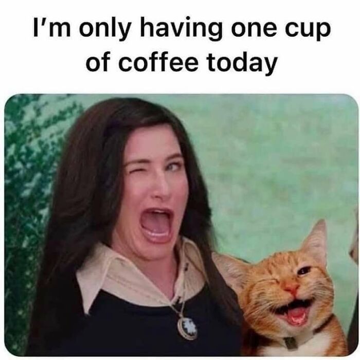 This Page Shared 30 Hilarious Cat Memes For Everyone Who’s Slightly Obsessed With Cats This Page Shared 30 Hilarious Cat Memes For Everyone Who’s Slightly Obsessed With Cats
