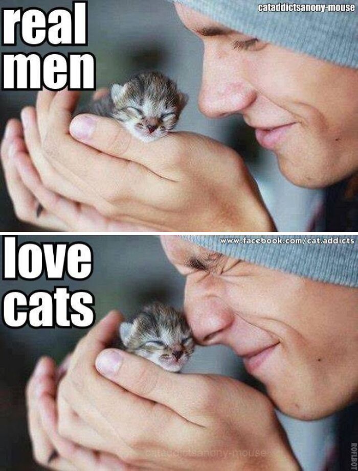 This Page Shared 30 Hilarious Cat Memes For Everyone Who’s Slightly Obsessed With Cats This Page Shared 30 Hilarious Cat Memes For Everyone Who’s Slightly Obsessed With Cats