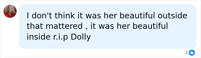 Dolly Parton Once Stunned Fans When She Revealed What Her Real Hair Looked Like After Years Of Iconic Wigs Dolly Parton Once Stunned Fans When She Revealed What Her Real Hair Looked Like After Years Of Iconic Wigs