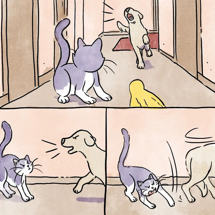Artist Shares Adorable And Funny Comics Of Life With Pets (5 New Stories) Artist Shares Adorable And Funny Comics Of Life With Pets (5 New Stories)