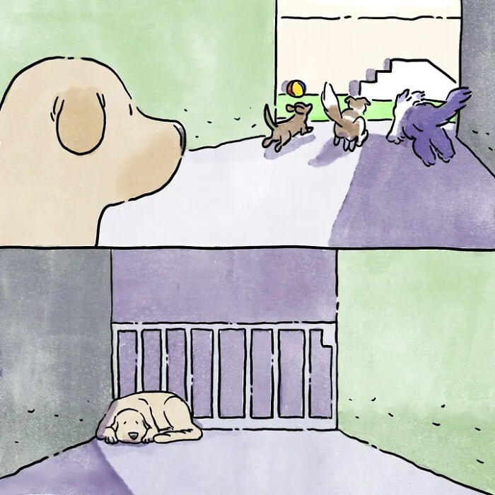 Artist Shares Adorable And Funny Comics Of Life With Pets (5 New Stories) Artist Shares Adorable And Funny Comics Of Life With Pets (5 New Stories)