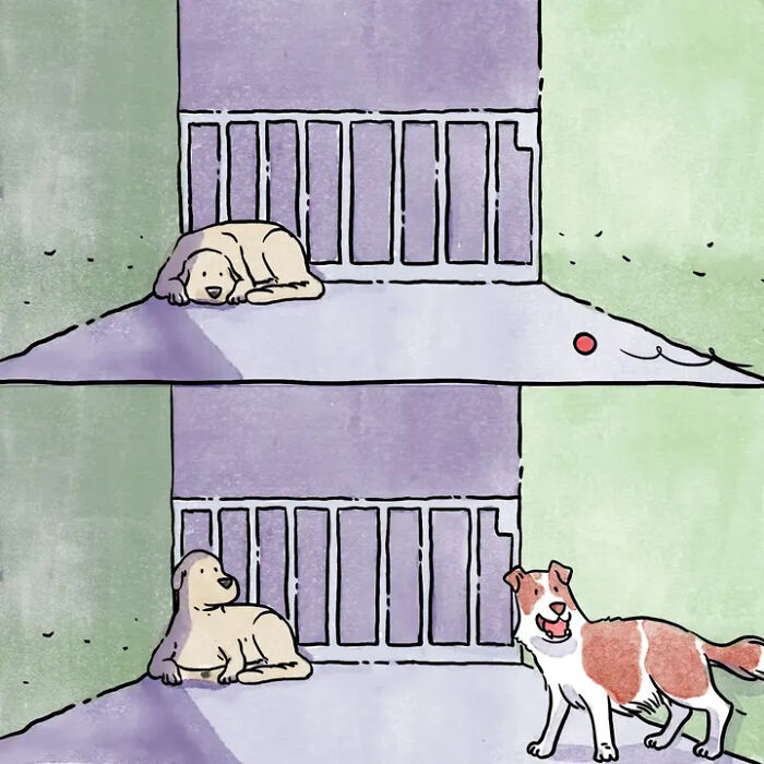 Artist Shares Adorable And Funny Comics Of Life With Pets (5 New Stories) Artist Shares Adorable And Funny Comics Of Life With Pets (5 New Stories)