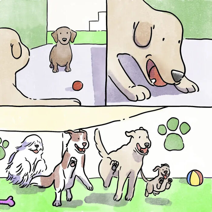 Artist Shares Adorable And Funny Comics Of Life With Pets (5 New Stories) Artist Shares Adorable And Funny Comics Of Life With Pets (5 New Stories)