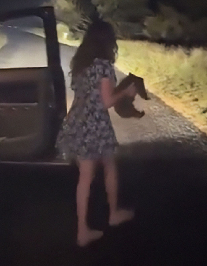 “Entitled” US Tourist Who Snatched Baby Wombat Learns Her Fate In Court “Entitled” US Tourist Who Snatched Baby Wombat Learns Her Fate In Court
