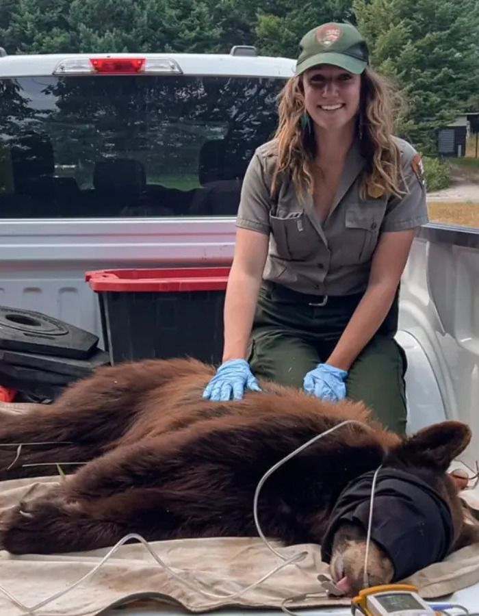 “Entitled” US Tourist Who Snatched Baby Wombat Learns Her Fate In Court “Entitled” US Tourist Who Snatched Baby Wombat Learns Her Fate In Court