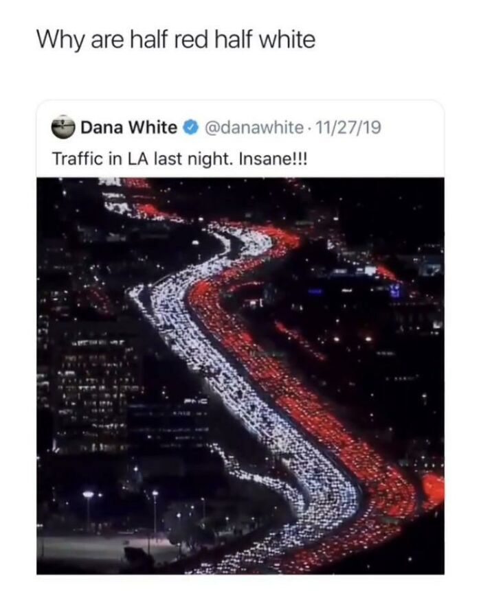 88 People So Dumb You Can’t Help But Wonder How They Even Survive 88 People So Dumb You Can’t Help But Wonder How They Even Survive