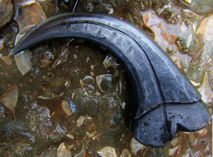 89 Impressive Things People Forged From Metal That Look Almost Too Good To Be Handmade