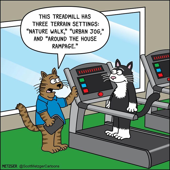 Scott Metzger Turns The Weird Logic Of Cats And Dogs Into 62 New Relatable Comics Scott Metzger Turns The Weird Logic Of Cats And Dogs Into 62 New Relatable Comics
