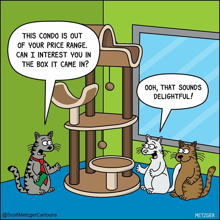 Scott Metzger Turns The Weird Logic Of Cats And Dogs Into 62 New Relatable Comics Scott Metzger Turns The Weird Logic Of Cats And Dogs Into 62 New Relatable Comics