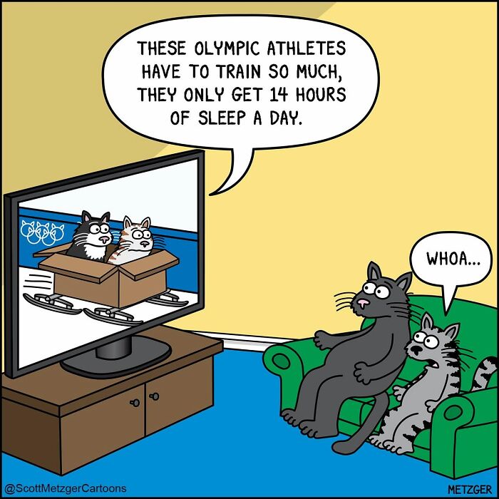 Scott Metzger Turns The Weird Logic Of Cats And Dogs Into 62 New Relatable Comics Scott Metzger Turns The Weird Logic Of Cats And Dogs Into 62 New Relatable Comics