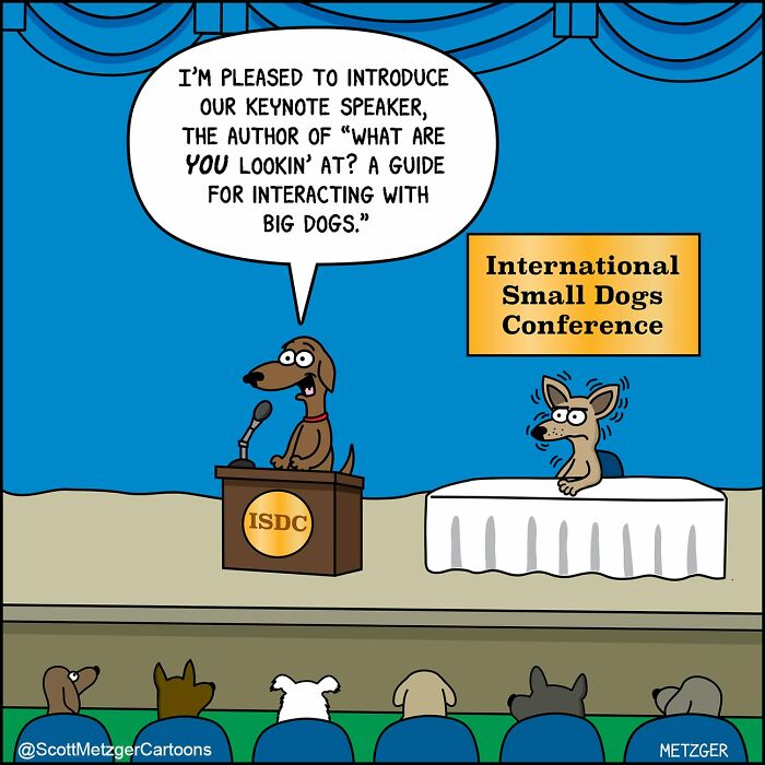 Scott Metzger Turns The Weird Logic Of Cats And Dogs Into 62 New Relatable Comics Scott Metzger Turns The Weird Logic Of Cats And Dogs Into 62 New Relatable Comics