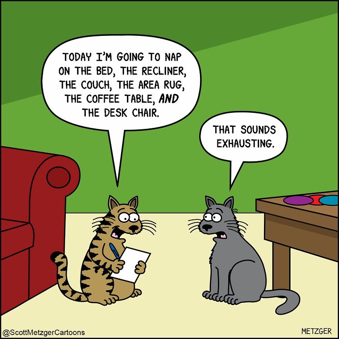 Scott Metzger Turns The Weird Logic Of Cats And Dogs Into 62 New Relatable Comics Scott Metzger Turns The Weird Logic Of Cats And Dogs Into 62 New Relatable Comics