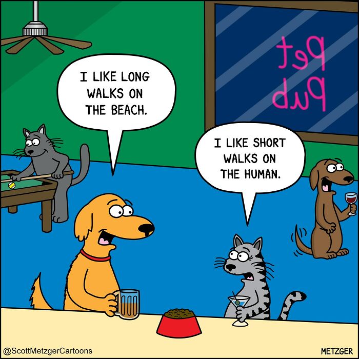 Scott Metzger Turns The Weird Logic Of Cats And Dogs Into 62 New Relatable Comics Scott Metzger Turns The Weird Logic Of Cats And Dogs Into 62 New Relatable Comics