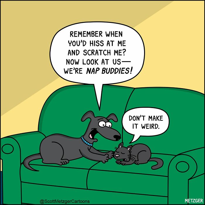 Scott Metzger Turns The Weird Logic Of Cats And Dogs Into 62 New Relatable Comics Scott Metzger Turns The Weird Logic Of Cats And Dogs Into 62 New Relatable Comics