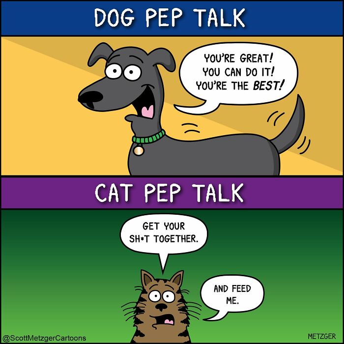 Scott Metzger Turns The Weird Logic Of Cats And Dogs Into 62 New Relatable Comics Scott Metzger Turns The Weird Logic Of Cats And Dogs Into 62 New Relatable Comics