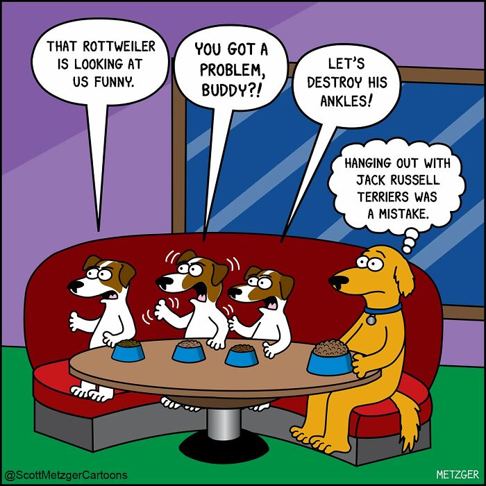 Scott Metzger Turns The Weird Logic Of Cats And Dogs Into 62 New Relatable Comics Scott Metzger Turns The Weird Logic Of Cats And Dogs Into 62 New Relatable Comics
