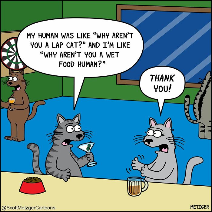 Scott Metzger Turns The Weird Logic Of Cats And Dogs Into 62 New Relatable Comics Scott Metzger Turns The Weird Logic Of Cats And Dogs Into 62 New Relatable Comics