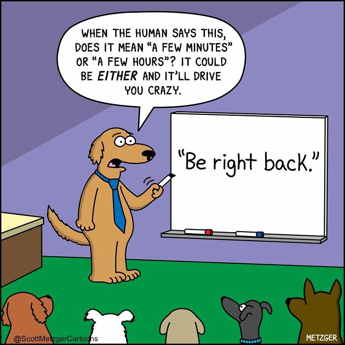 Scott Metzger Turns The Weird Logic Of Cats And Dogs Into 62 New Relatable Comics Scott Metzger Turns The Weird Logic Of Cats And Dogs Into 62 New Relatable Comics
