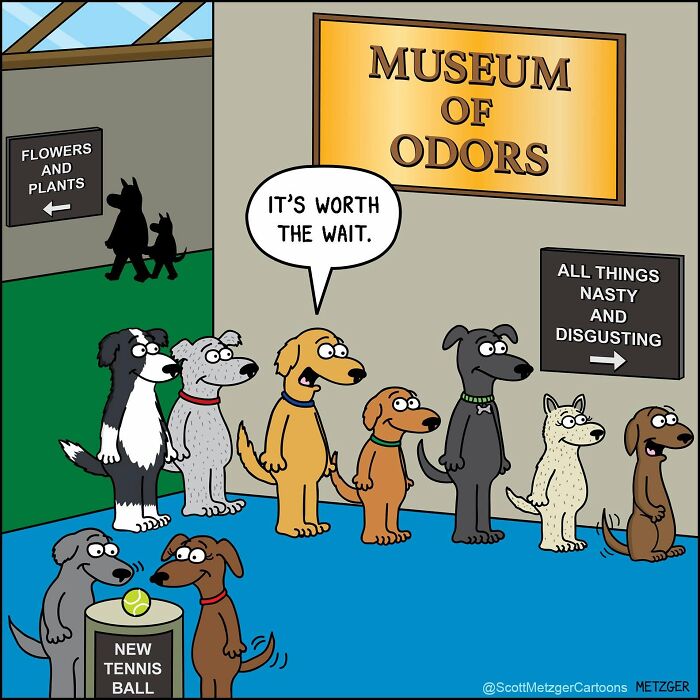 Scott Metzger Turns The Weird Logic Of Cats And Dogs Into 62 New Relatable Comics Scott Metzger Turns The Weird Logic Of Cats And Dogs Into 62 New Relatable Comics