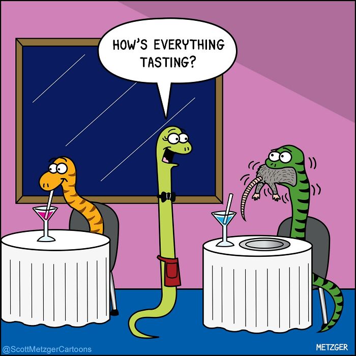 Scott Metzger Turns The Weird Logic Of Cats And Dogs Into 62 New Relatable Comics Scott Metzger Turns The Weird Logic Of Cats And Dogs Into 62 New Relatable Comics