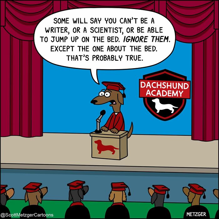 Scott Metzger Turns The Weird Logic Of Cats And Dogs Into 62 New Relatable Comics Scott Metzger Turns The Weird Logic Of Cats And Dogs Into 62 New Relatable Comics