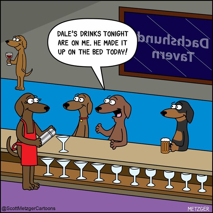 Scott Metzger Turns The Weird Logic Of Cats And Dogs Into 62 New Relatable Comics Scott Metzger Turns The Weird Logic Of Cats And Dogs Into 62 New Relatable Comics