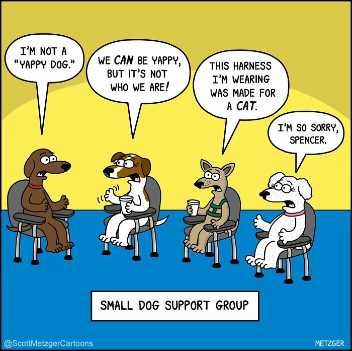 Scott Metzger Turns The Weird Logic Of Cats And Dogs Into 62 New Relatable Comics Scott Metzger Turns The Weird Logic Of Cats And Dogs Into 62 New Relatable Comics