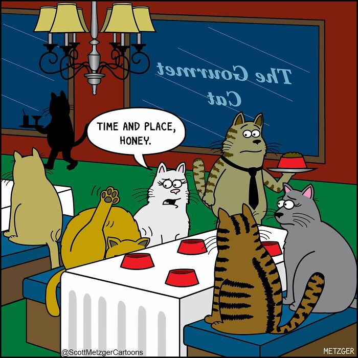 Scott Metzger Turns The Weird Logic Of Cats And Dogs Into 62 New Relatable Comics Scott Metzger Turns The Weird Logic Of Cats And Dogs Into 62 New Relatable Comics