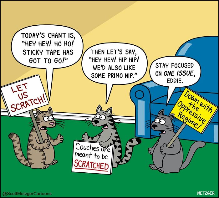 Scott Metzger Turns The Weird Logic Of Cats And Dogs Into 62 New Relatable Comics Scott Metzger Turns The Weird Logic Of Cats And Dogs Into 62 New Relatable Comics