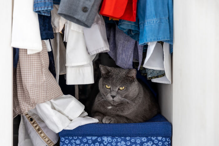 82 Unhinged House Rules That Make Sense To The Family And Absolutely Nobody Else