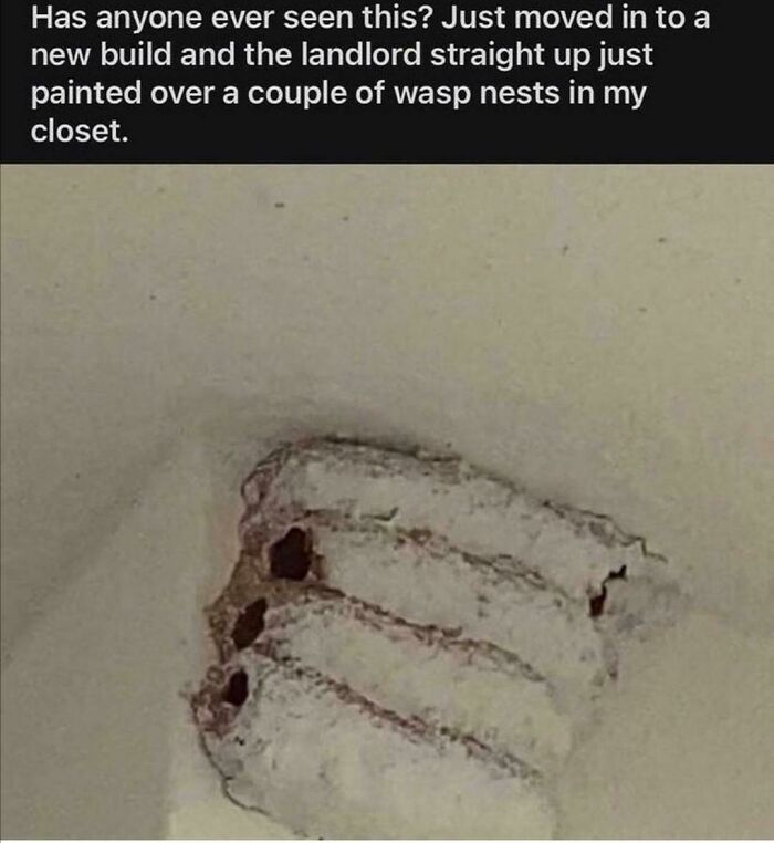 99 Hilariously Bad Examples Of DIY To Scroll Through Before You Attempt To Fix That Thing Yourself