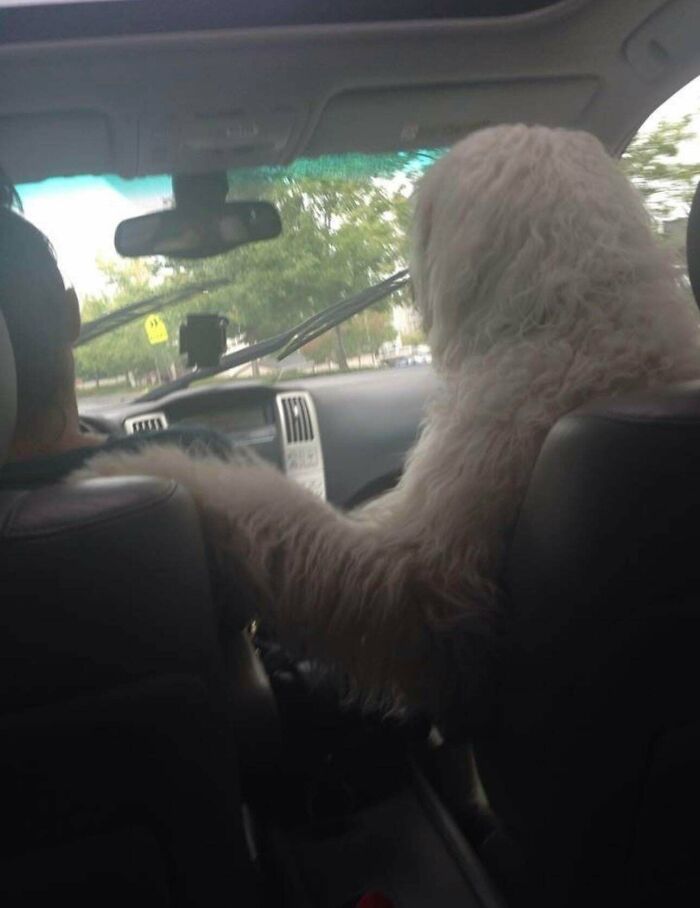 85 People Share Weird And Unexpected Moments That Made Their Day More Interesting 85 People Share Weird And Unexpected Moments That Made Their Day More Interesting