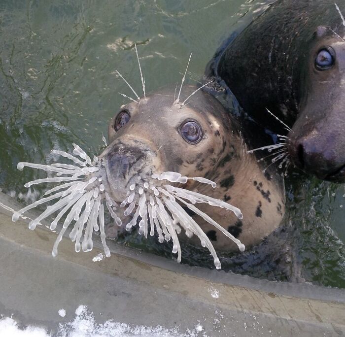 85 People Share Weird And Unexpected Moments That Made Their Day More Interesting 85 People Share Weird And Unexpected Moments That Made Their Day More Interesting
