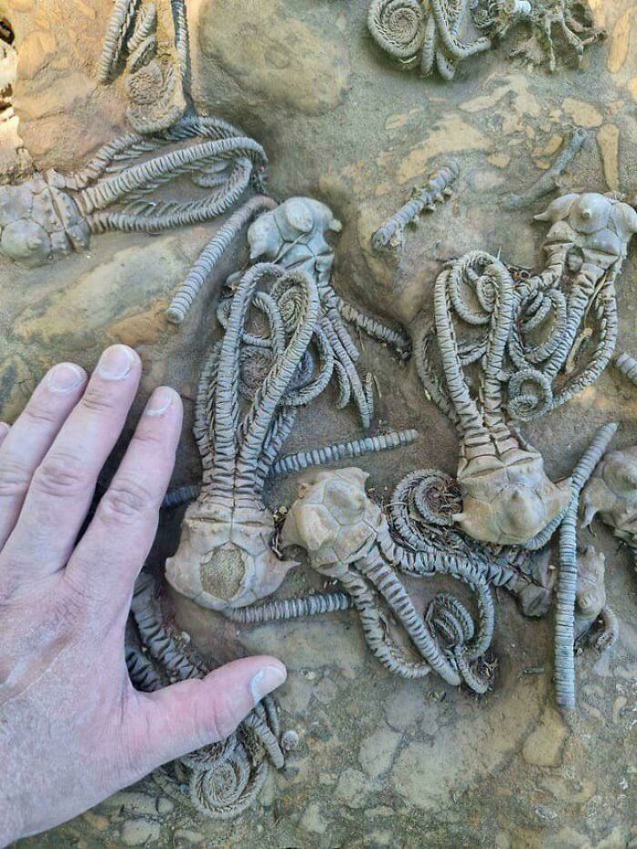 85 People Share Weird And Unexpected Moments That Made Their Day More Interesting 85 People Share Weird And Unexpected Moments That Made Their Day More Interesting