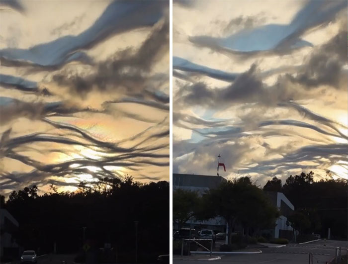 85 People Share Weird And Unexpected Moments That Made Their Day More Interesting 85 People Share Weird And Unexpected Moments That Made Their Day More Interesting