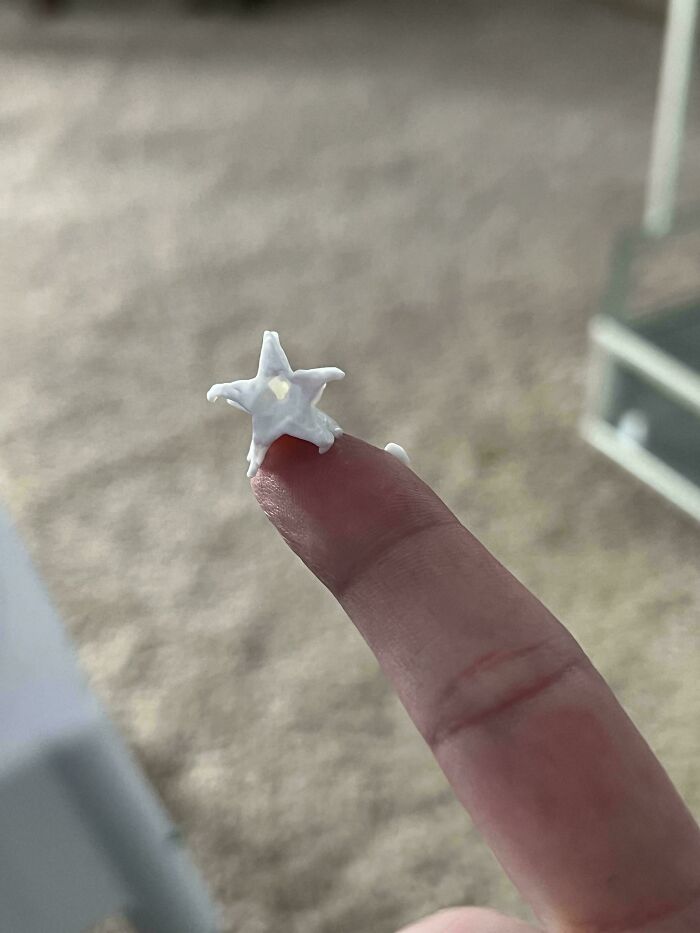 85 People Share Weird And Unexpected Moments That Made Their Day More Interesting 85 People Share Weird And Unexpected Moments That Made Their Day More Interesting