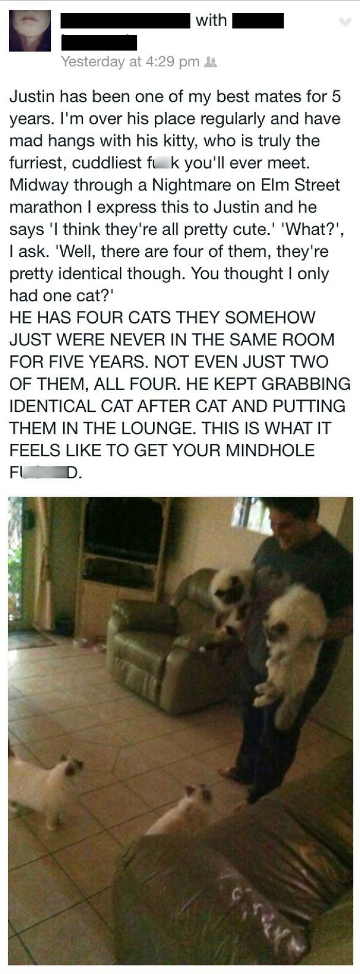 68 Times People Forgot The Name To Something And Described It In The Most Unhinged Way Ever