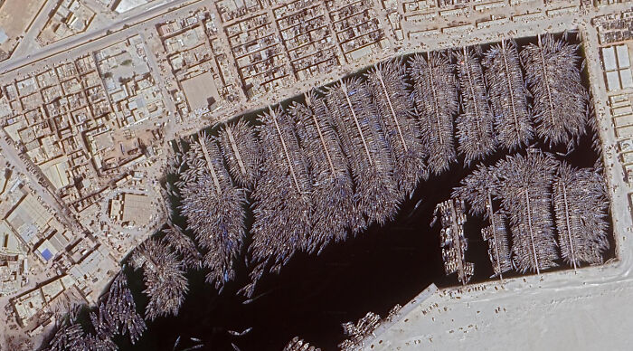 95 Times People Found Such Odd Things On Google Maps, They Just Had To Share Them