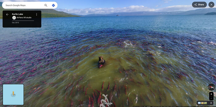 95 Times People Found Such Odd Things On Google Maps, They Just Had To Share Them