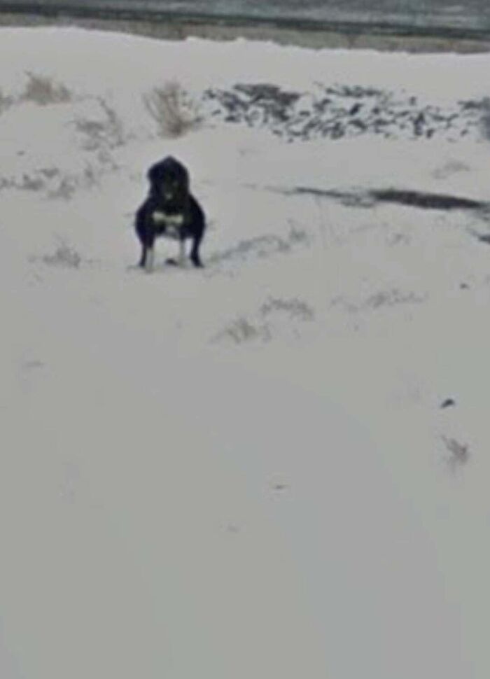 95 Times People Found Such Odd Things On Google Maps, They Just Had To Share Them