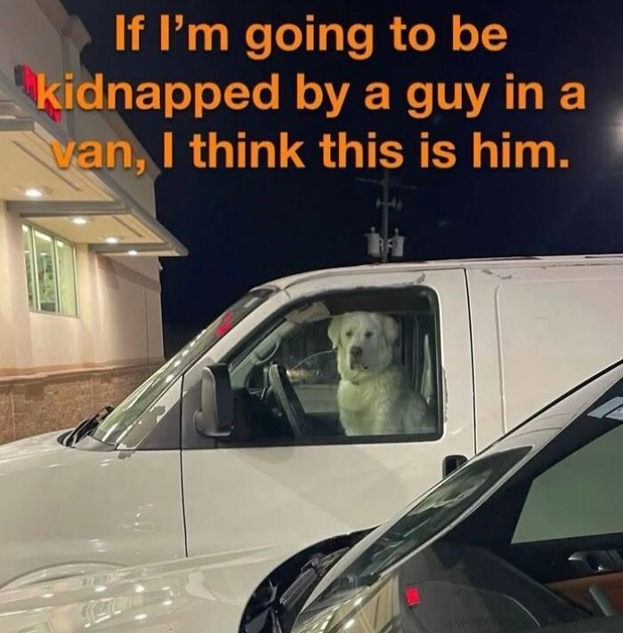 If You Like Animals More Than People, These 78 Funny Memes And Posts Might Be What You Need If You Like Animals More Than People, These 78 Funny Memes And Posts Might Be What You Need