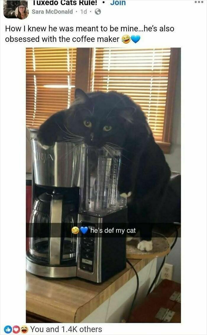 If You Like Animals More Than People, These 78 Funny Memes And Posts Might Be What You Need If You Like Animals More Than People, These 78 Funny Memes And Posts Might Be What You Need