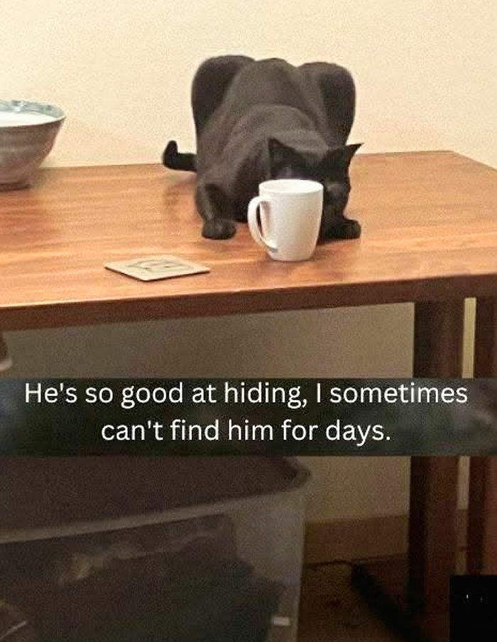 If You Like Animals More Than People, These 78 Funny Memes And Posts Might Be What You Need If You Like Animals More Than People, These 78 Funny Memes And Posts Might Be What You Need